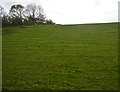 Cornish Hillside