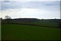 Field near Trenethick