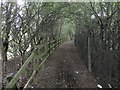 The Trans Pennine Trail near Centenary Way