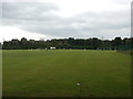 School Cricket Match at Oakwood