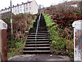 Steps up to Milton Terrace, Brithdir