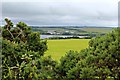 View through the hedge above Llyn Alaw