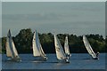 TQ4590 : View of sailing boats on the lake in Fairlop Waters #24 by Robert Lamb