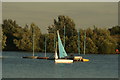 TQ4590 : View of a sailing boat on the lake in Fairlop Waters #18 by Robert Lamb