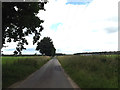 TL9682 : West Harling Road, Riddlesworth by Geographer