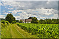 Church in the fields, Llanrothal