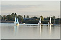 TQ4590 : View of a line of Canada geese among the sailing boats on the lake in Fairlop Waters by Robert Lamb