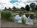 Royal National Rose Society Garden, St Albans, Hertfordshire