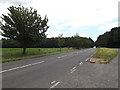 TL9981 : A1066 Thetford Road, Garboldisham by Geographer