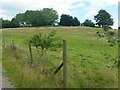 Pasture land by the B4215