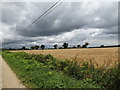 TM1678 : Fields off the entrance to Thorpe Parva Hall by Geographer