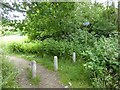 Old cycle path on the edge of Billingham