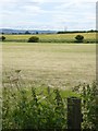 NZ4827 : Mown field near Greatham by Oliver Dixon