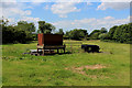 Pasture in Askham Richard