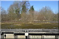 Abandoned platform, Bere Alston Station