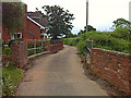 SX9886 : Rydon Lane: bridge over stream by Hugh Craddock