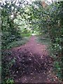 Redhill: muddy patch on bridleway O16