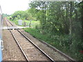 TG2708 : View from a Norwich-Great Yarmouth train - Bungalow Lane level crossing by Nigel Thompson