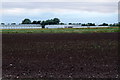 Fields and greenhouses north of Gorsey Lane, Banks