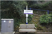 SX2463 : Liskeard Station by N Chadwick