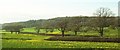 ST4862 : Farmland near Lye Cross by Derek Harper