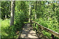 Woodland Boardwalk