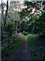 Muscliff: looking west along bridleway M18