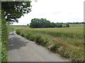 Lane near Little Frith Farm