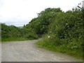 Track running north into the Sheepham Valley