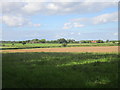 View towards Holme House Farm