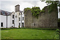 N5633 : Castles of Leinster: Ballybrittan, Co. Offaly (1) by Mike Searle