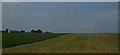 Fields south of Whitley Crest, from the railway