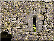 N0626 : Castles of Leinster: Clonlyon, Co. Offaly (4) by Mike Searle