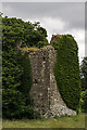 N4175 : Castles of Leinster: Newcastle, Co. Westmeath (1) by Mike Searle
