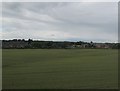 Field between Makerfield Way and the railway