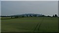 Charlton and The Wrekin, from Walcot