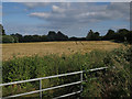 Field by Harston Road