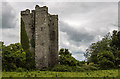 J0302 : Castles of Leinster: Dunmahon, Co. Louth (1) by Mike Searle