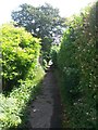 West Howe: quite rural looking on footpath E15