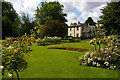 Morden Hall Park: mill buildings across the rose garden