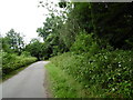 Road alongside a former railway