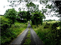 H5375 : Cairn Road, Drumnakilly by Kenneth  Allen