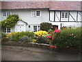 Cottage garden on Well Road, Crondall