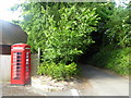 Telephone box in Vicarage Lane, Ospringe