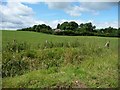 Looking west to a house called Hill Top