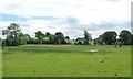 Moresby Tarn, east of Hungriggs