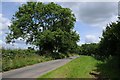 SP3640 : Ash trees beside a county road by Philip Halling