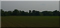 SJ8104 : Field north of Albrighton by Christopher Hilton