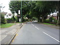 Bus stop on Russell Drive, Wollaton