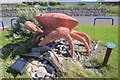 Lois the Crab at Pensarn